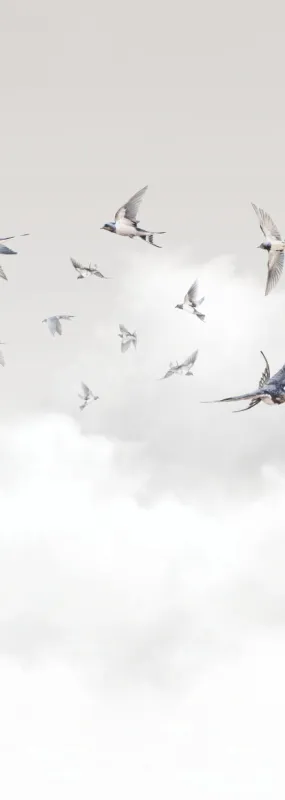 Флизелиновые обои Milassa Ambient vol3 x арт.AM11011/2