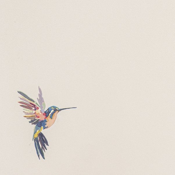 54356-1 Andrea Rossi Spectrum+ 1,06 x 10,05