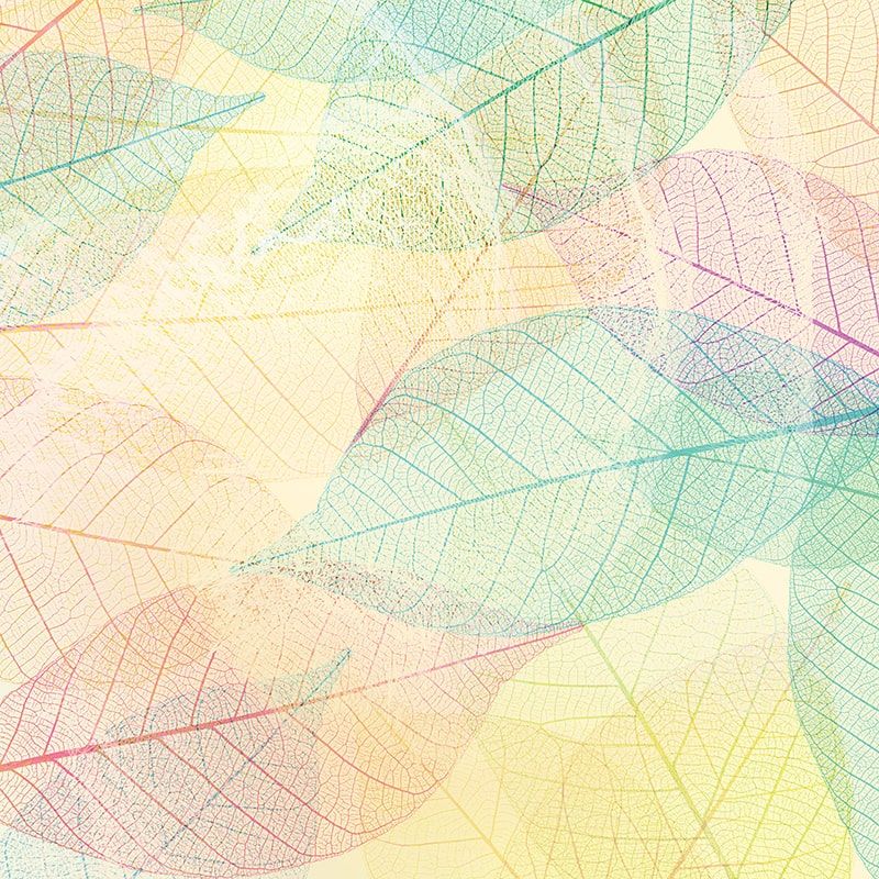 Фреска Графика ag0433a