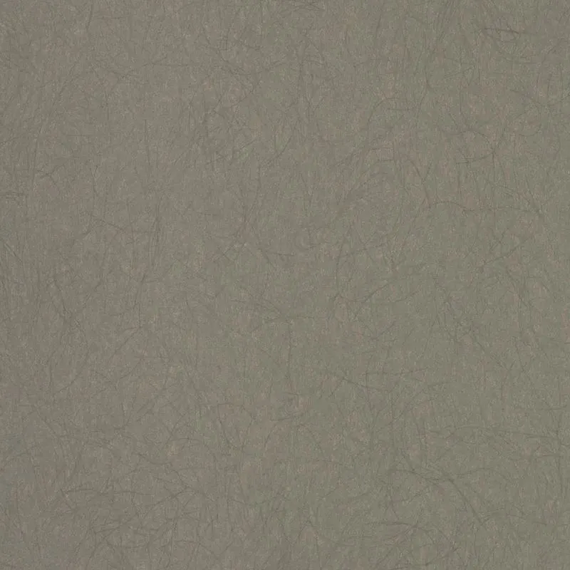 Флизелиновые обои Bernardo Bartalucci Legend 1.06x10 арт.5068-7