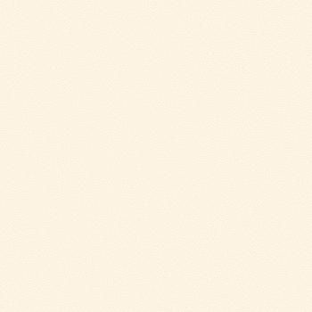 54310-3 Andrea Rossi Gallinara 1,06 х 10,05