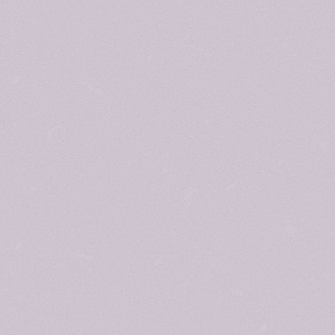 54329-4 Andrea Rossi Nisida 1,06 х 10,05