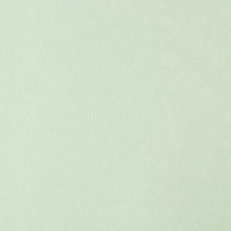 Флизелиновые обои Bernardo Bartalucci Legend 1.06x10 арт.5068-75