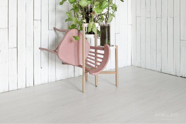 Дуб Гюстров клеевой