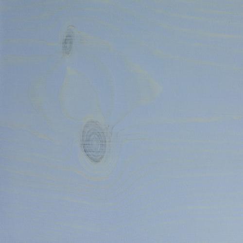 Цветной воск Biofa (Незабудка) 2,5 л