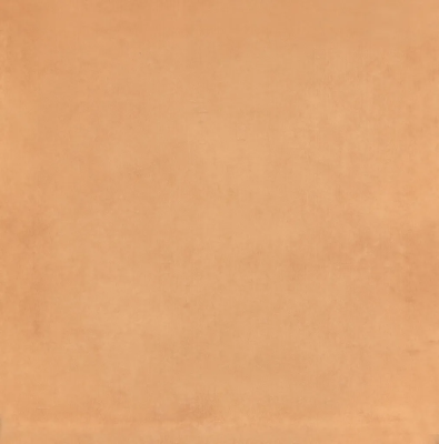 Керамическая плитка Kerama Marazzi Капри оранжевый 20х20