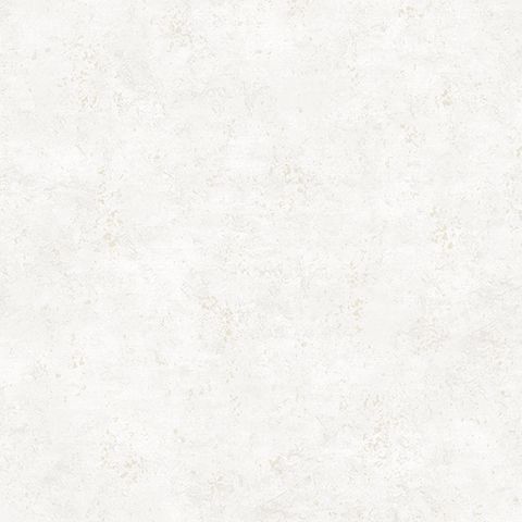 54319-1 Andrea Rossi Nisida 1,06 х 10,05