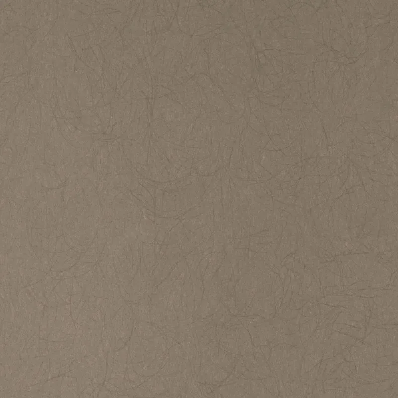 Флизелиновые обои Bernardo Bartalucci Legend 1.06x10 арт.5068-26