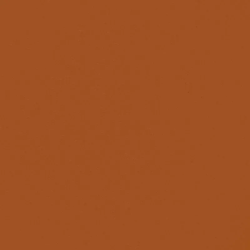 Флизелиновые обои Bernardo Bartalucci Coco 1.06x10 арт.5088-54