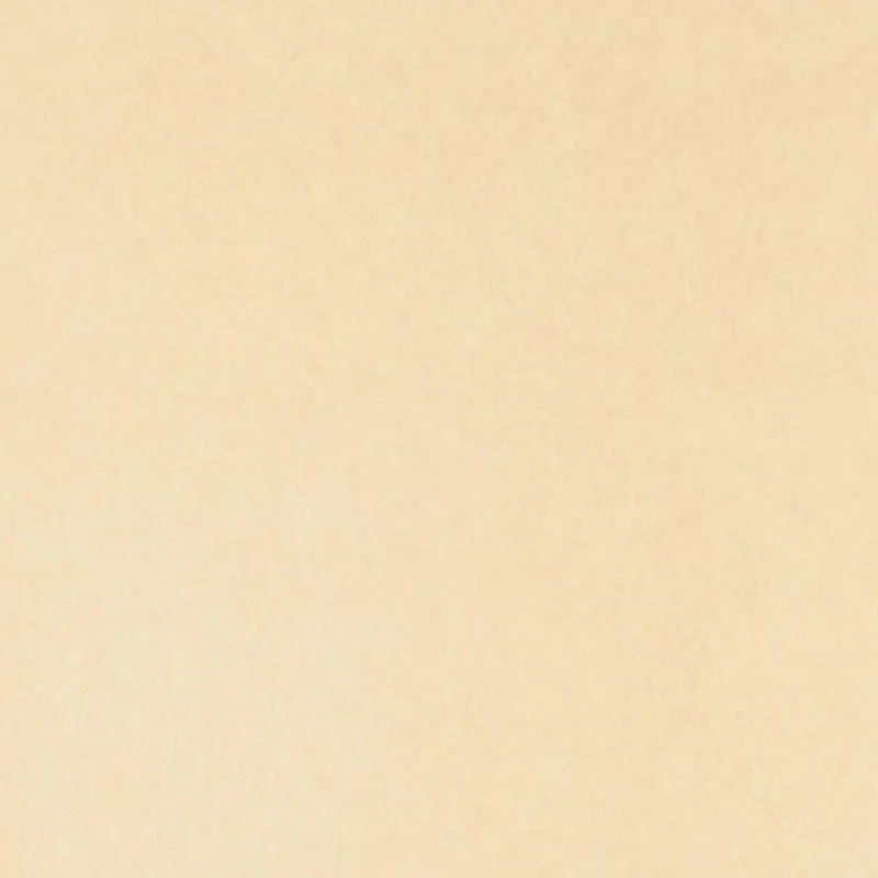 Флизелиновые обои Bernardo Bartalucci Legend 1.06x10 арт.5068-54