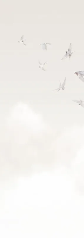 Флизелиновые обои Milassa Ambient vol3 x арт.AM11001/1