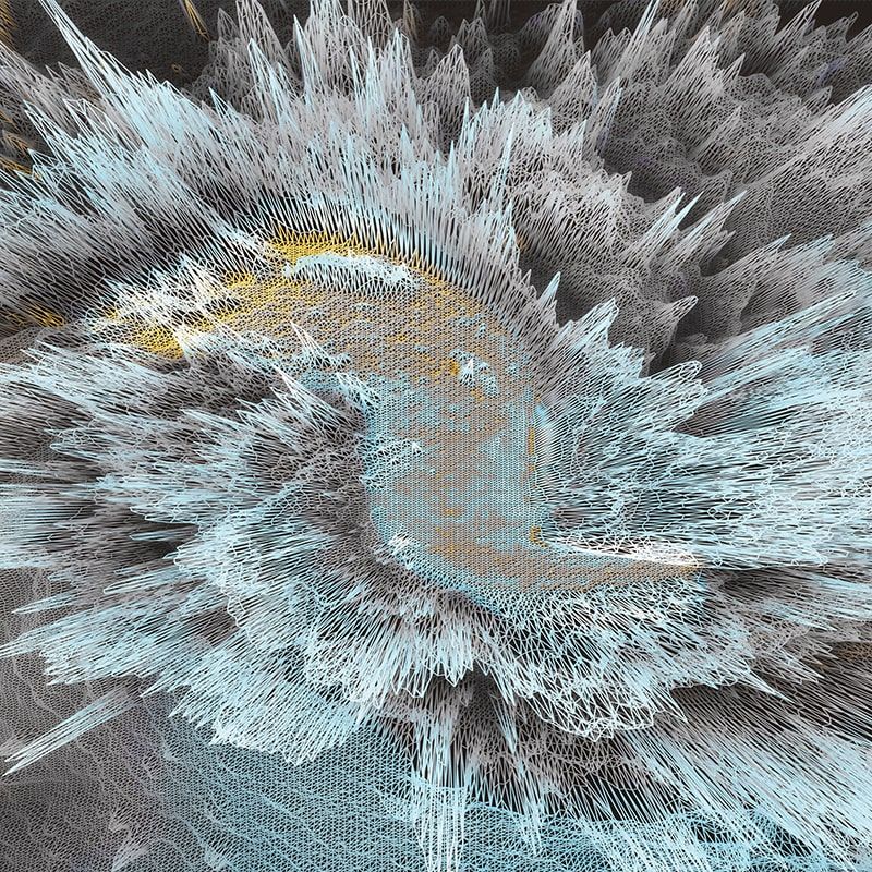 Фреска Elementum EN_005_col2