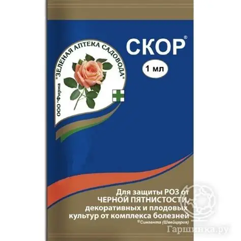 Скор пластик (2 шт х 2 мл, 025-SZ-SP-000048-1), 025-SZ-SP-000046-1