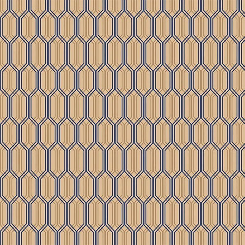 Флизелиновые обои Loymina Clair 1x10.05 арт.CLR6021/1