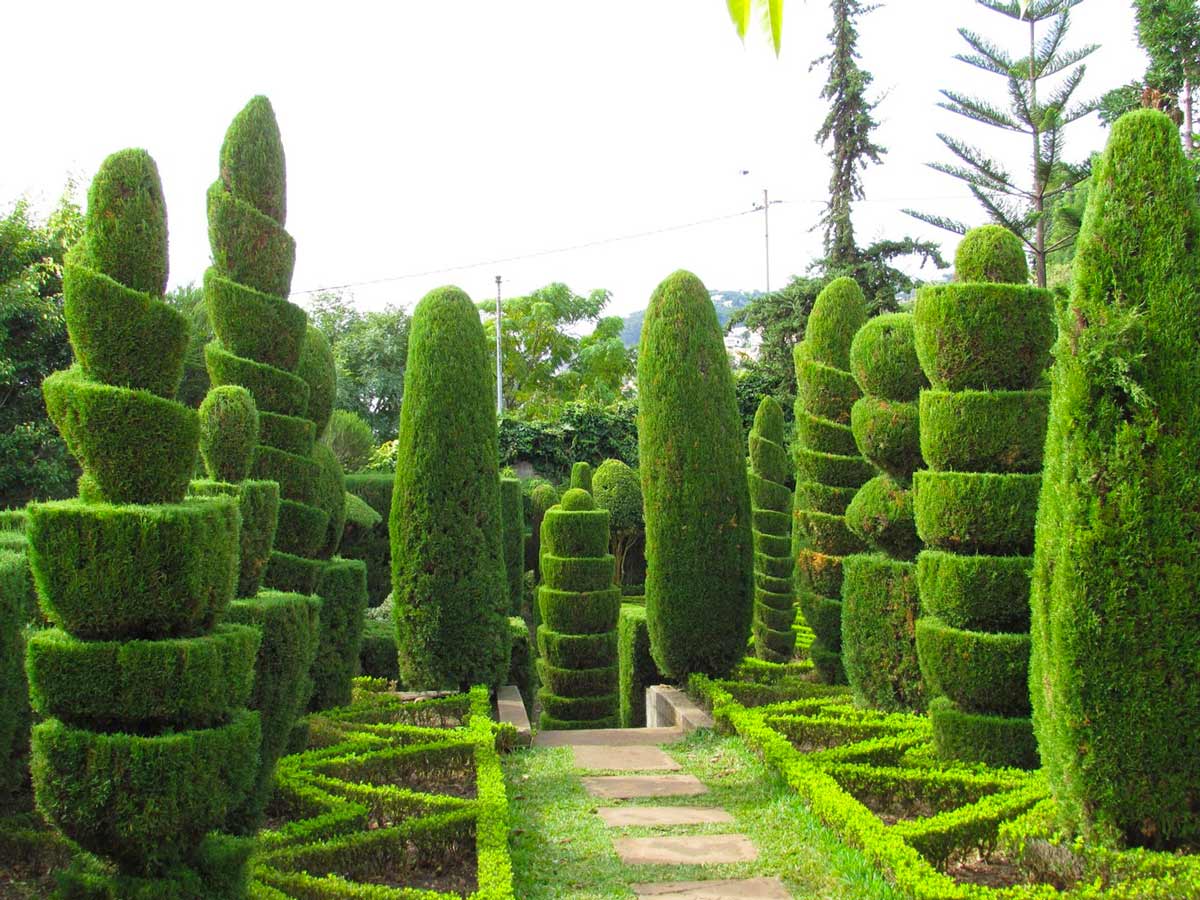 Ландшафтное топиарное искусство