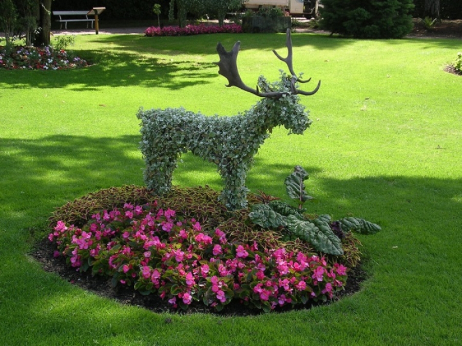 Топиарий своими руками вторая часть