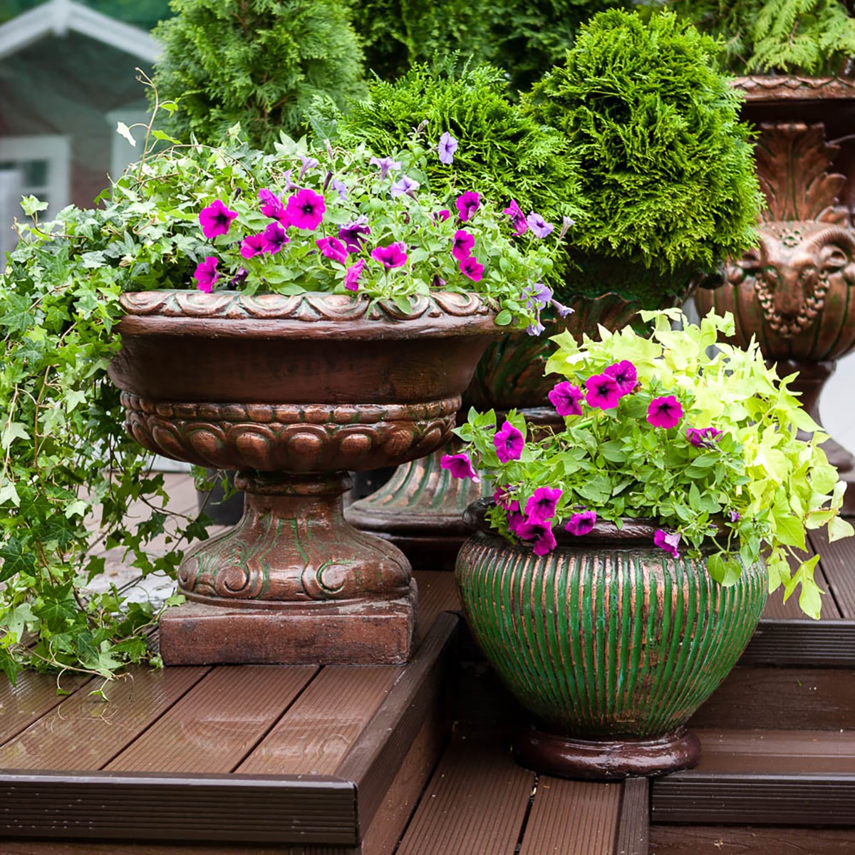 Вазоны и кашпо декоративные