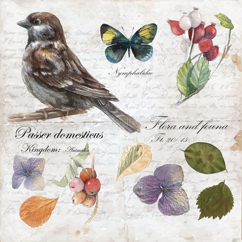 Фреска Зарисовки природы Art.33022