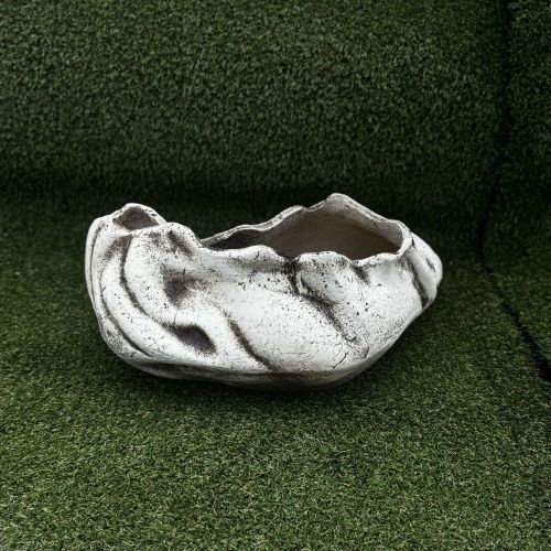 Ракушка большая