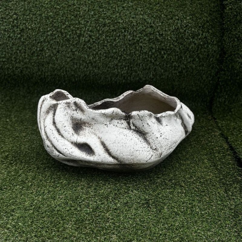 Ракушка большая