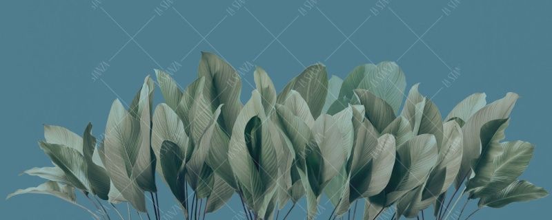 Фреска ALBA Tropic арт. 800748