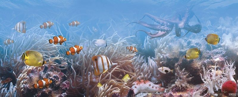 Фреска Подводный мир Art.10031