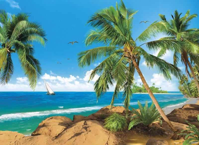 Фреска Тропический пляж Art.33199