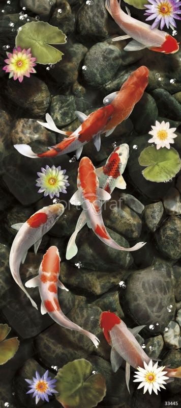 Фреска Карпы Art.33445