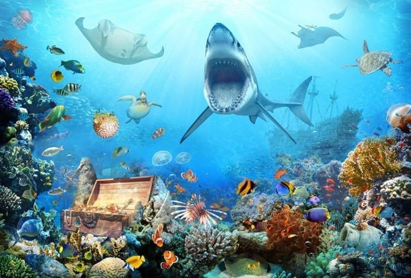 Фреска Акула