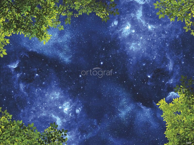Фреска Ночное небо и листва Art.4294