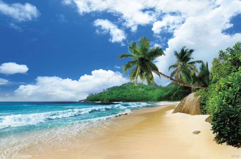 Фреска Пляж Консепсон Art.30709