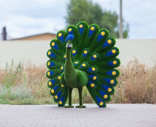 Топиар "Павлин НЭО" синий