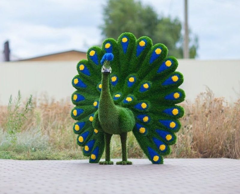 Топиар "Павлин НЭО" синий