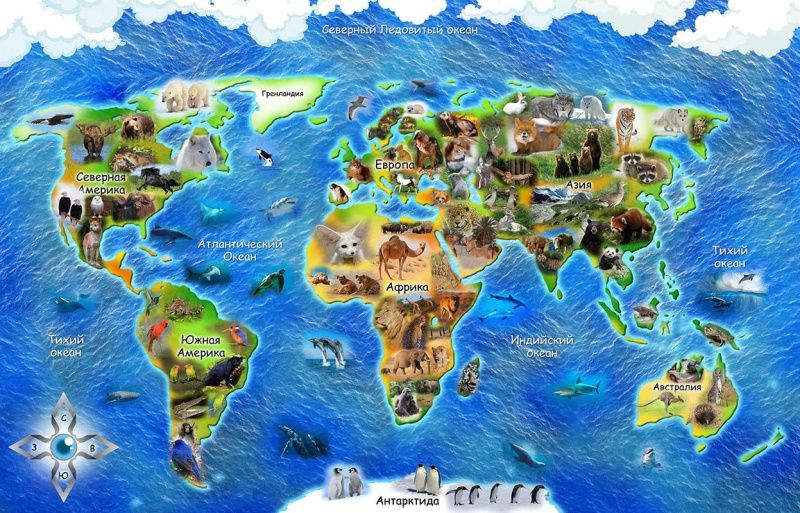 Фреска Baby Smart s011