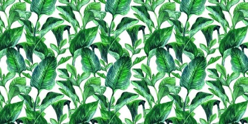 Фреска Цветы, цветочная коллекция арт. f_415