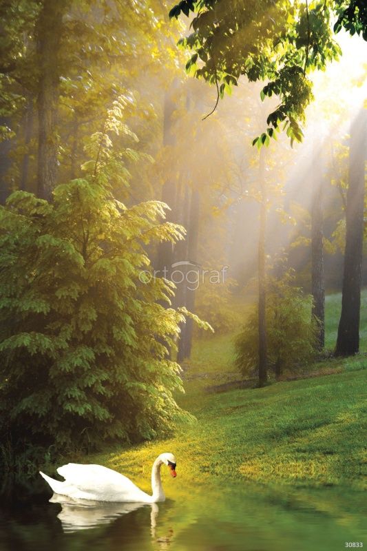 Фреска Лебедь в лесу Art.30833