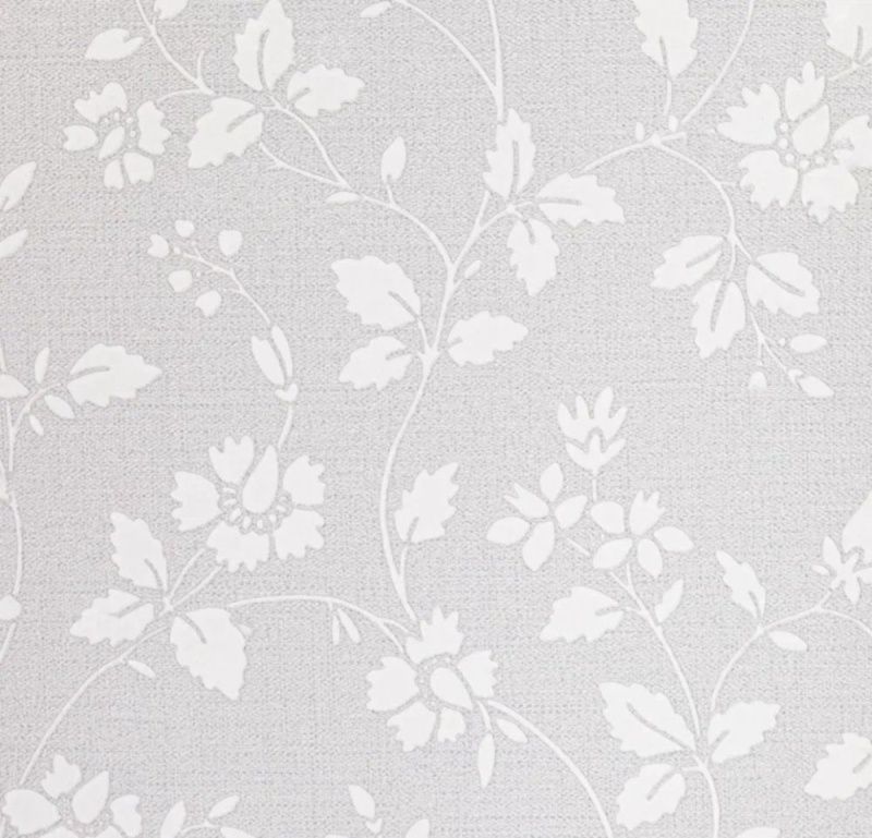 54354-1 Andrea Rossi Spectrum+ 1,06 x 10,05