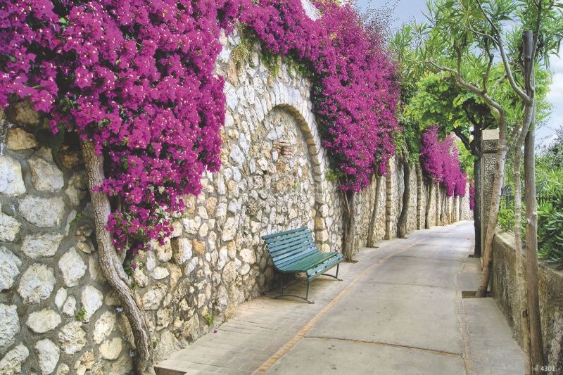 Фреска Улочка на Капри Art.4301