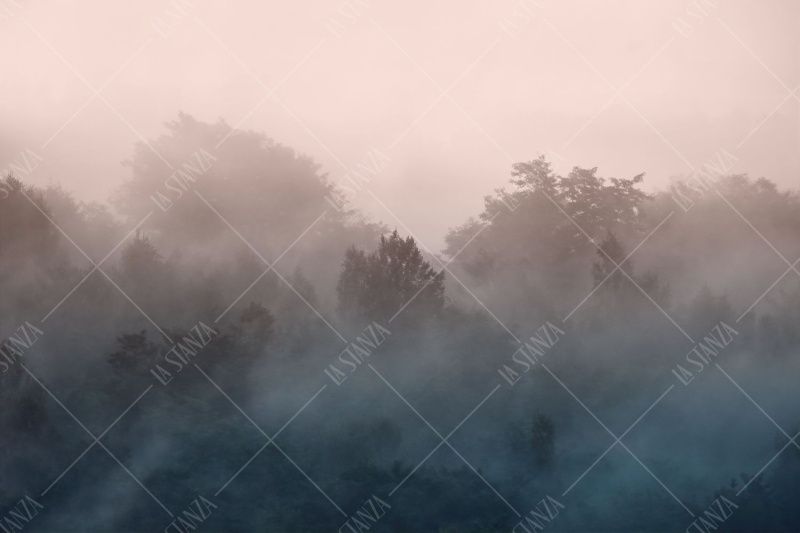 Фреска ALBA Natura арт. 800175