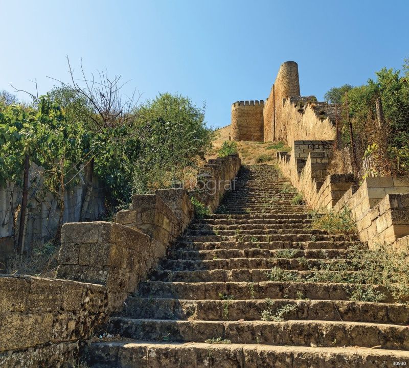 Фреска Нарын-кала Art.30930