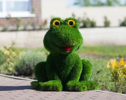 Топиари Лягушка 80*70*60