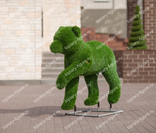 Медведь в движении (новая трава)