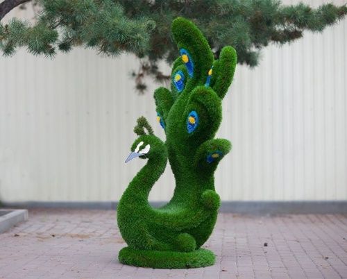 Топиар "Павлин малый" синий