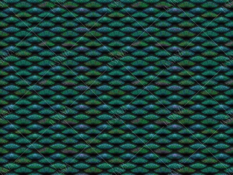 Фреска ALBA Textures арт. 800363