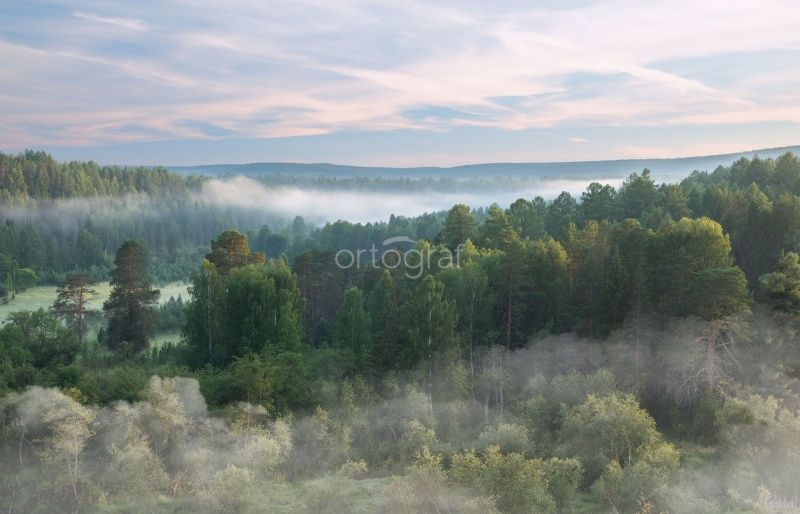 Фреска Туман над лесом Art.33604