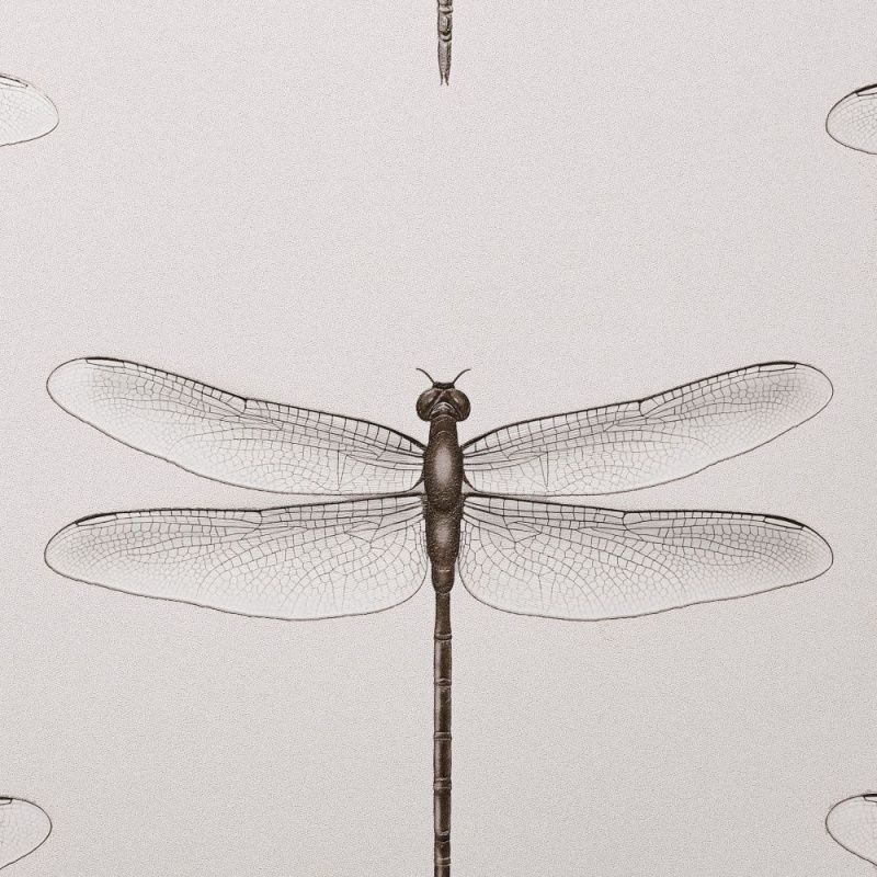 54426-6 Andrea Rossi Cavolli 1,06 х 10,05