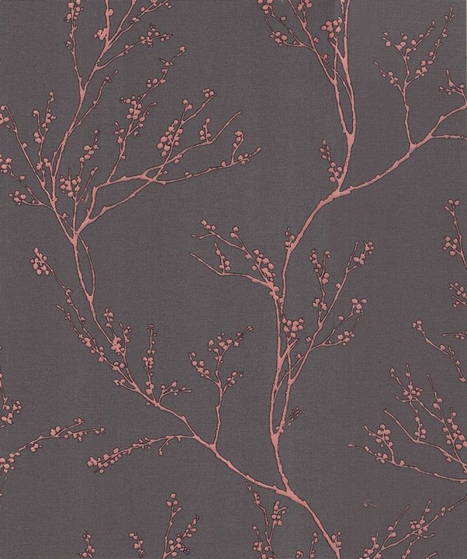 54360-7 Andrea Rossi Spectrum max 1,06 x 10,05