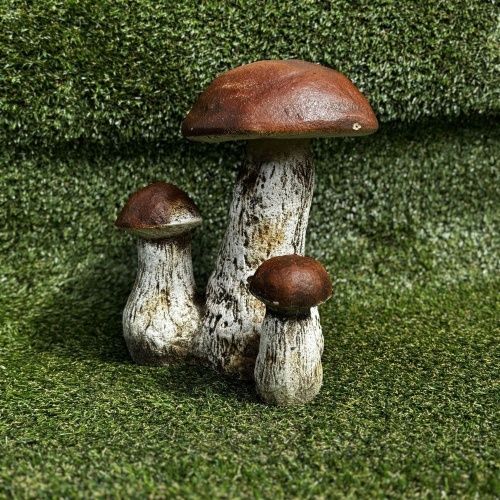 Гриб белый тройной