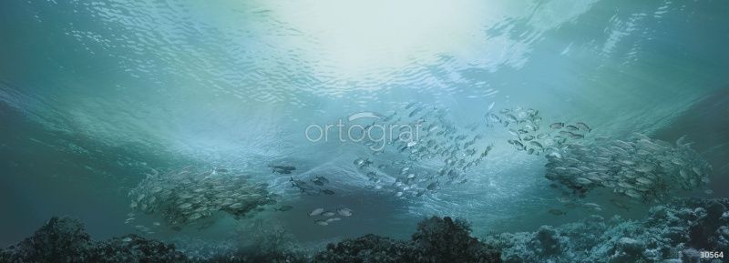 Фреска Стая рыб Art.30564