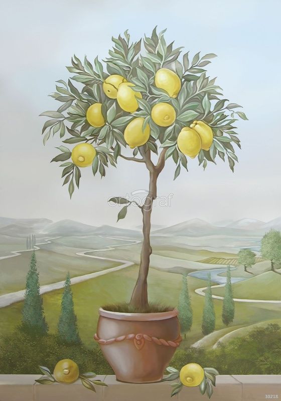 Фреска Лимонное дерево Art.30218